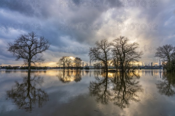 Flood on the Rhine, Germany. Chempark Dormagen in the background