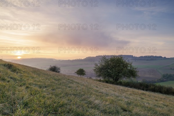 Hills and trees at sunset, soft colours and a wide, peaceful landscape, Bisberg, Watterdingen,