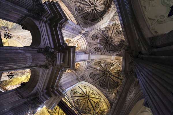 MALAGA, ANDALUCIA/SPAIN - JULY 5 : Interior View of the Cathedral of the Incarnation in Malaga