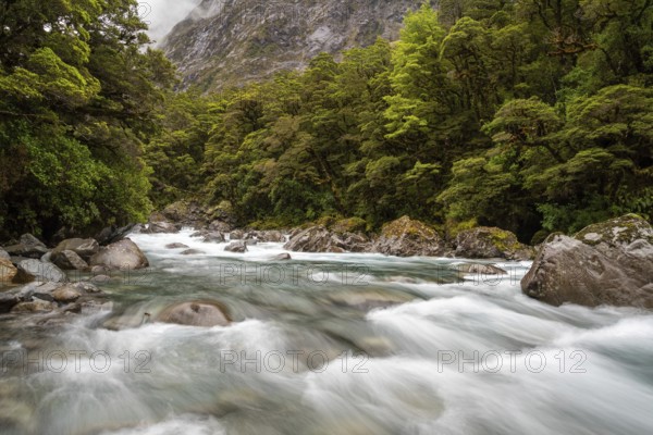 Mountainous Monkey creek flowing through impressive landscape next to Milford Sound highway, South