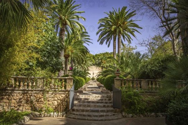 Mediterranean garden with palm trees and a stone staircase under a blue sky, Jardines de Alfabia,