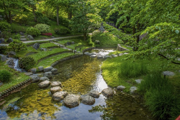 High angle View of fast stream flowing into a larger stream and azalea bushes in red blooms and