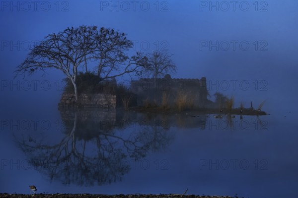 An ancient building a trees reflecting off the waters of a Blue Lake in winters in Ranthambhore