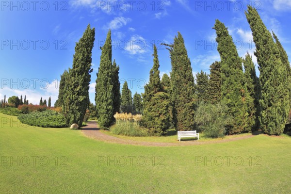 Gorgeous lawn in a park surrounded by cypress trees. To rest at the track is a handy white bench. ?
