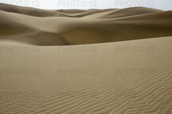 Desert dunes sand in Maspalomas Gran Canaria at Canary islands