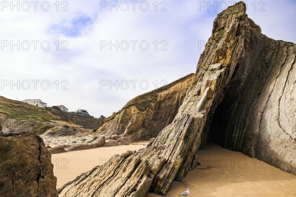 Adorable sea gull. Incredible rock formations, stones and boulders. Cantabria, Spain. The Playa de