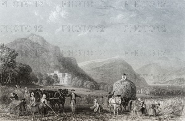 Grain harvest, Inveraray Castle, a country house near Inveraray, county of Argyll, Scotland, United