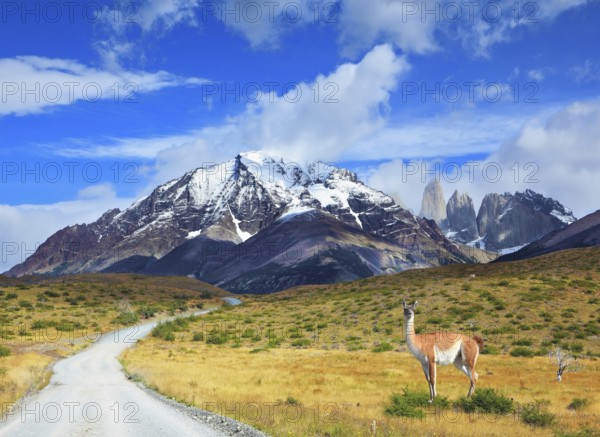 The beautiful summer morning in Patagonia. National Park Torres del Paine. On dirt road is worth