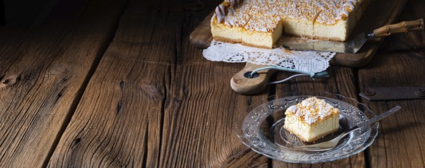 Succulent tin cheesecake with crumbs