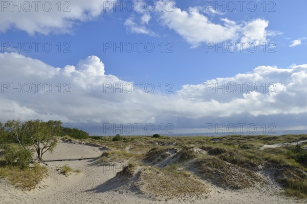 Sandhammaren is a Swedish coastal strip on the Baltic Sea. It is the southeasternmost point of the