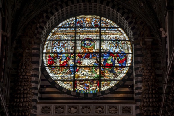 SIENA, ITALY, SEPTEMBER 23, 2023, Rich ornate window of the nave of the Siena Cathedral in Italy,