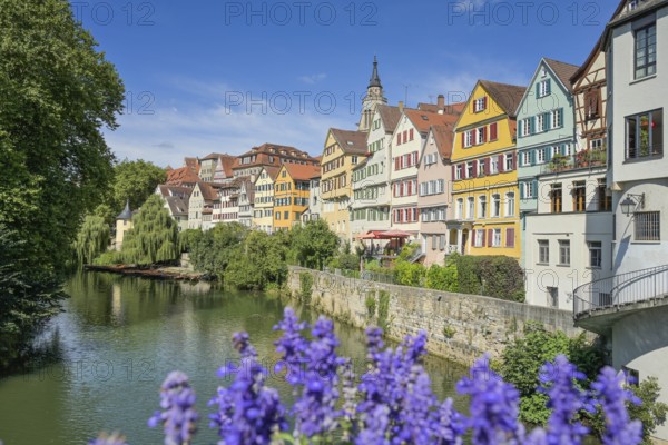 Neckar, Flowers at the Eberhardsbrücke, Old buildings, Neckar front, Old Town, Tübingen,