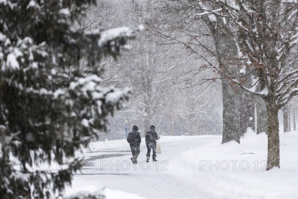 Heavy snow squalls of lake-effect snow falls over Springbank Park in London, Canada. Environment