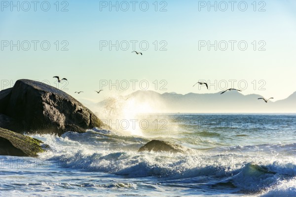 Seagulls over the sea waves at Devil Beach between Copacabana and Ipanema in Rio de Janeiro during