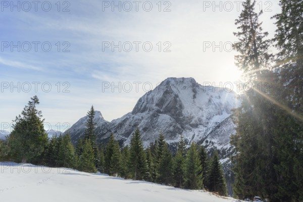 Winter scenery with the sun shining over the snowy Austrian Alps, the green forest and white