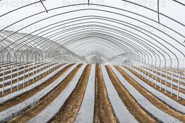 Frame of a greenhouse and fields with growing vegetables at the Flemish countryside around