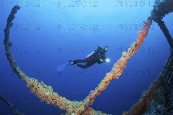 Diver at Numidia Wreck, Brother Islands, Red Sea, Egypt | Scuba Diver at Numidia Wreck, Red Sea,