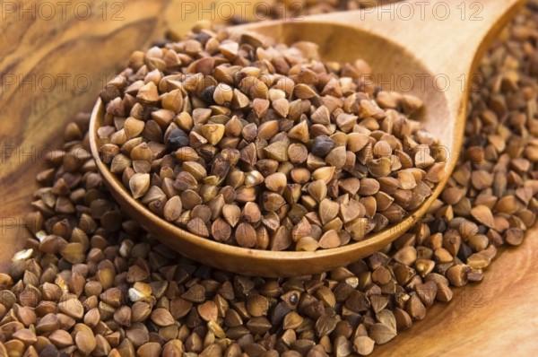 Buckwheat seeds on wooden spoon in closeup, lodz, poland
