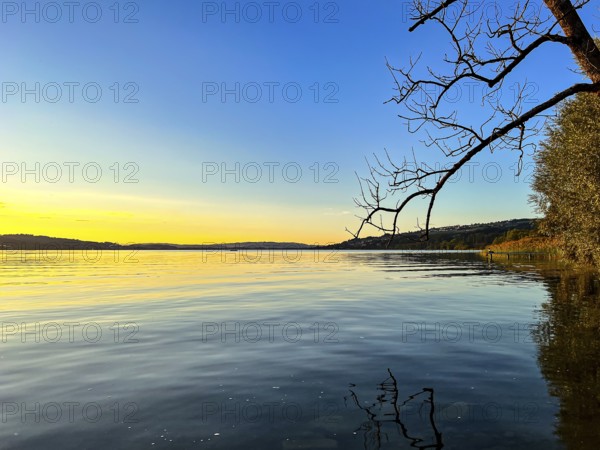Calm lake at sunset with bare branches in the foreground and a wide horizon, Sempach, Lucerne,