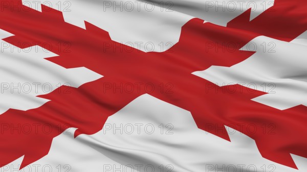 Cross Of Burgundy Flag, Closeup View