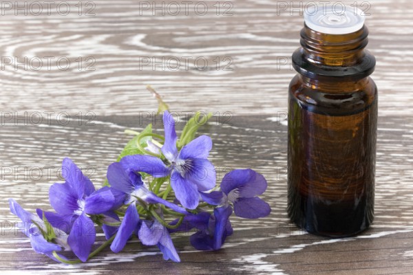 Dropper bottle with Bach flower essence on wooden background with blossoms Dropper bottle of bach