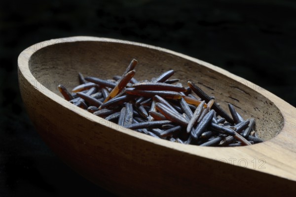 Rice, black wild rice in wooden ladle, Canada, North America
