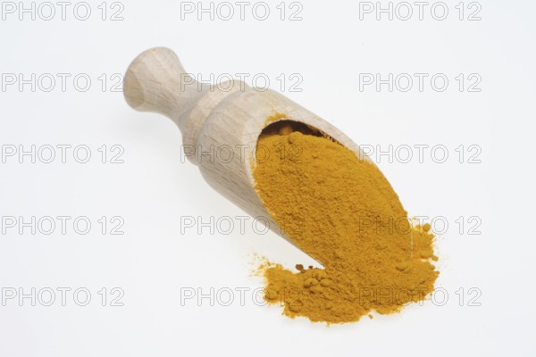 Turmeric (Curcuma longa) or curcume, yellow ginger, saffron root, turmeric, plant species of the