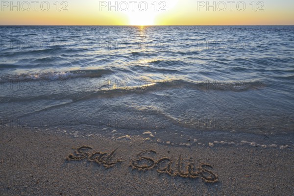 Sal Salis lettering in the sand, Cape Range National Park, Ningaloo Reef, near Exmouth, Western