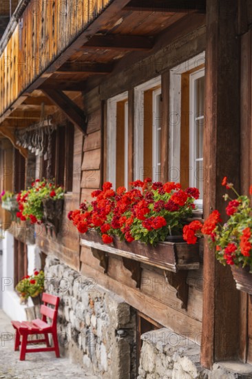 Wooden house with red geraniums in flower boxes in front of the windows, Lake Brienz, Brienz,