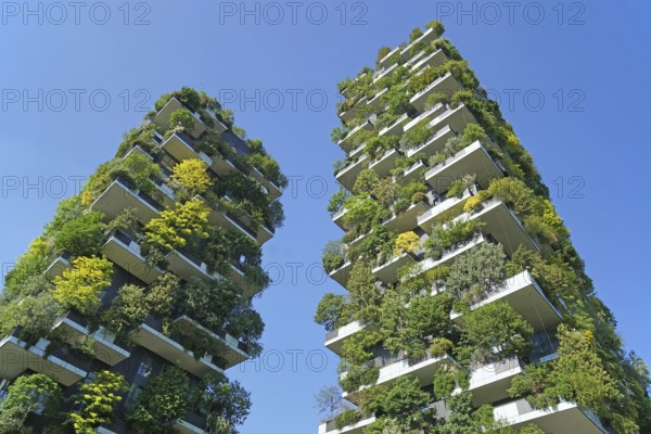 Bosco Verticale, twin tower, green tower block with trees and shrubs, Porta Nuova, Milan, Lombardy,
