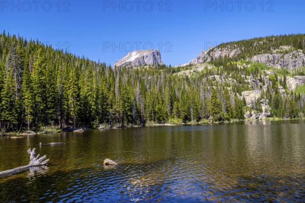 At the Bear lake in the National Park Rocky Mountains with blue sky in summertime, landscape format