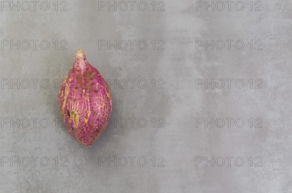 Great concept of healthy eating, sweet potato on gray background, polished concrete
