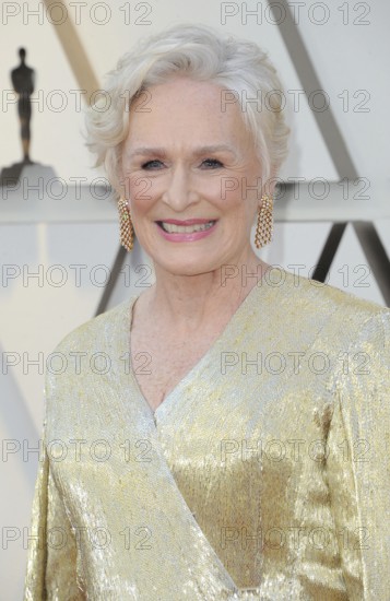 Glenn Close at the 91st Annual Academy Awards held at the Hollywood and Highland in Los Angeles,