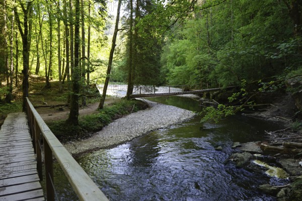 Hiking trail, wooden bridges over the Wutach, Wutach gorge between Bachheim and Wutachmühle, middle
