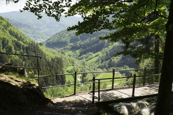 View from the Todtnau waterfall to the valley of the Stübenbach, high valley of Todtnauberg,