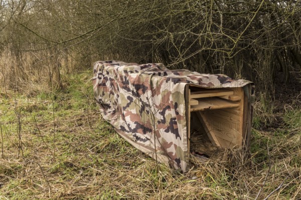 NSG Südliche Leineaue, Laatzen, live trap for catching nutrias (Myocastor coypus) on the bank of