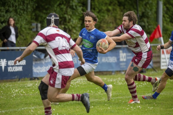 Rugby 1st Bundesliga South/West, Season 2024/25, Matchday 14: SC Neuenheim vs RSV Köln