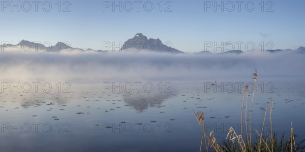 Sunrise at Lake Hopfensee near Füssen, with the Tegelberg massif and the Säuling behind it,