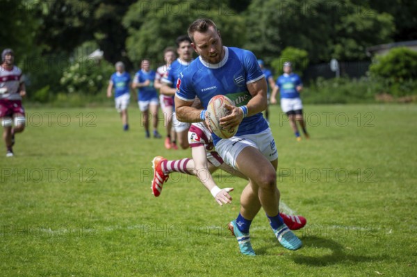 Rugby 1st Bundesliga South/West, Season 2024/25, Matchday 14: SC Neuenheim vs RSV Köln***Neuenheim