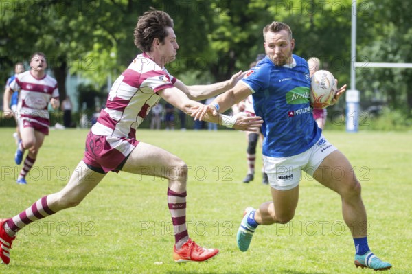 Rugby 1st Bundesliga South/West, Season 2024/25, Matchday 14: SC Neuenheim vs RSV Köln***Neuenheim