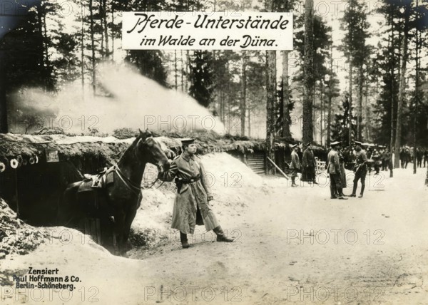 Horse shelters in the forest on the Düna, 1914 - 1918, World War I, reproduction of a war postcard