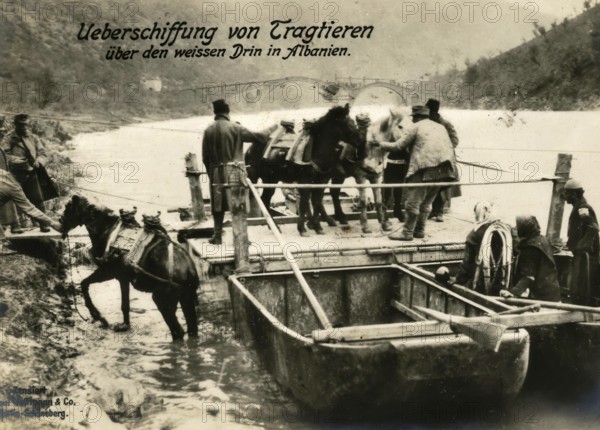 Crossing of pack animals over the White Drin in Albania, 1914 - 1918, 1st World War, reproduction