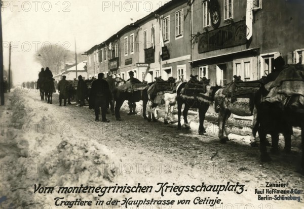 From the Montenegrin theatre of war. Pack animals in the main street of Cetinje, 1914 - 1918, World
