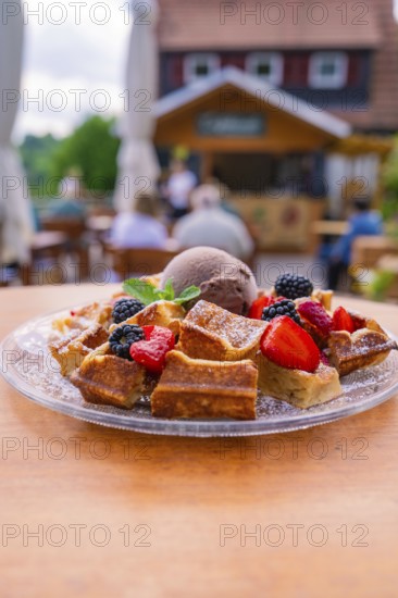 Waffles with ice cream and berries served outside on a terrace, Cafehäusle Calw, Black Forest,