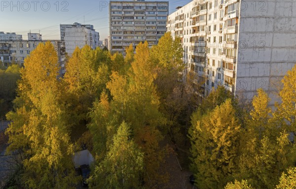 Sunlit yellowed trees in the sleeping area. Moscow, Teply Stan, view from the window of the house