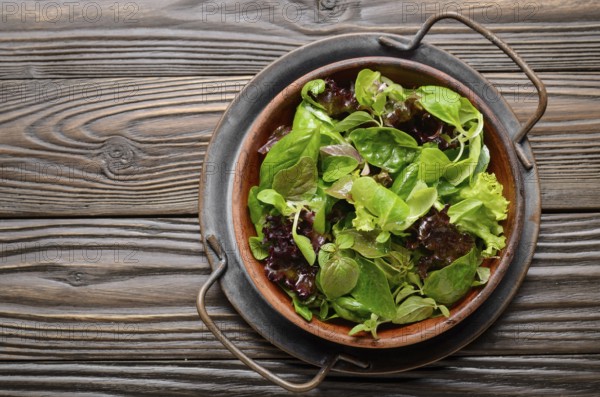 Top view at clay dish with green and violet lettuce, lamb's lettuce salad with oregano flowers on