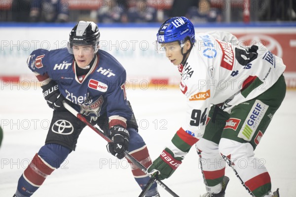 Laura Dick Cologne, LanxessArena, North Rhine-Westphalia, Justin Schütz (Cologne Sharks, #10),