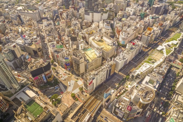 Shibuya scramble intersection (taken from Shibuya Sky). Shooting Location: Tokyo metropolitan area