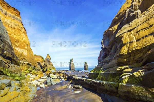 Picturesque rocks Three Sisters on the Pacific coast. North Island, New Zealand. The concept of