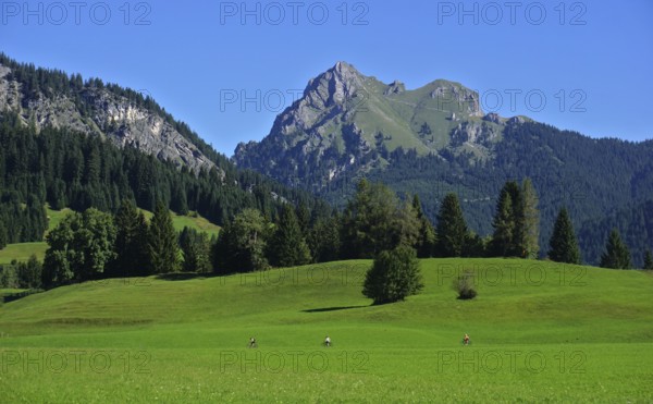 Tannheimer Tal near Tannheim-Grän, Tyrol, Austria, View of the Aggenstein, Tannheimer valley near